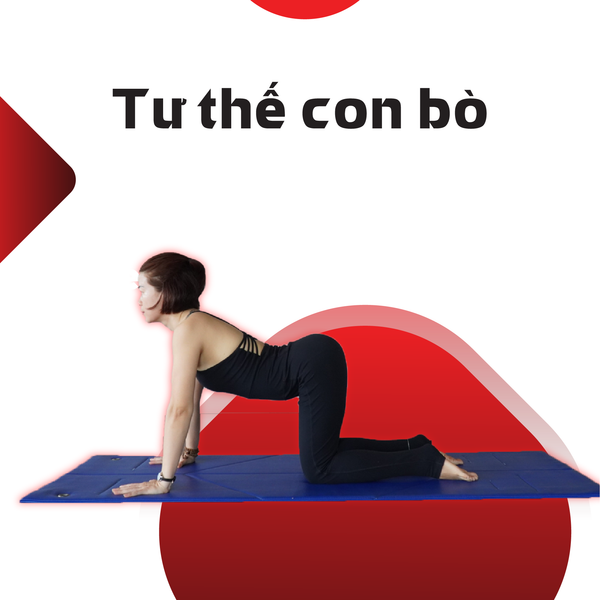 4 BÀI TẬP YOGA CẢI THIỆN SỨC KHOẺ CHO DÂN VĂN PHÒNG – FitBox Gym