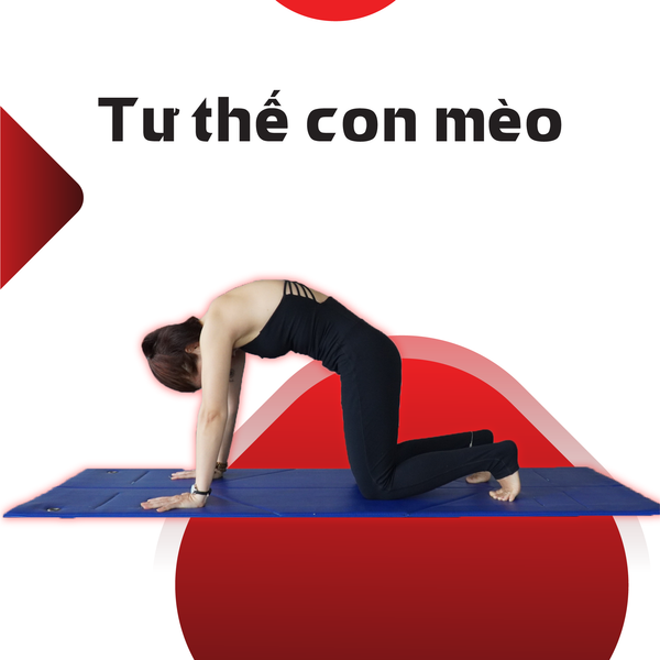Tư thế yoga vặn mình giúp kéo giãn cột sống và giảm mỏi lưng cho dân công sở