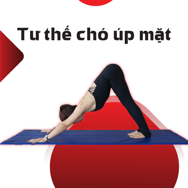 Động tác con mèo con bò hỗ trợ giảm đau vai gáy hiệu quả tại văn phòng