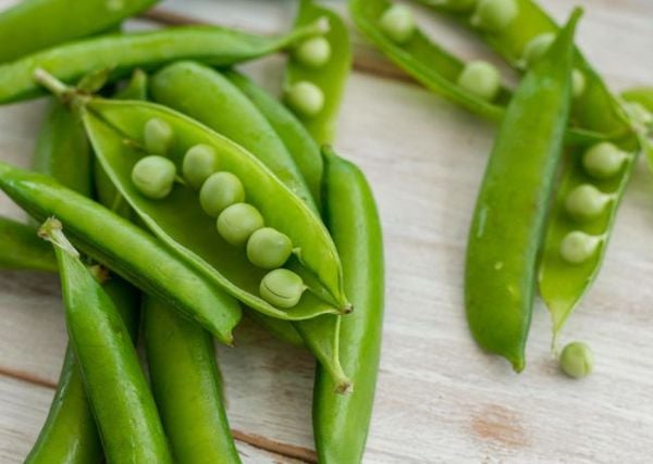 Đậu Hà Lan nguồn protein thực vật dồi dào cho người ăn chay