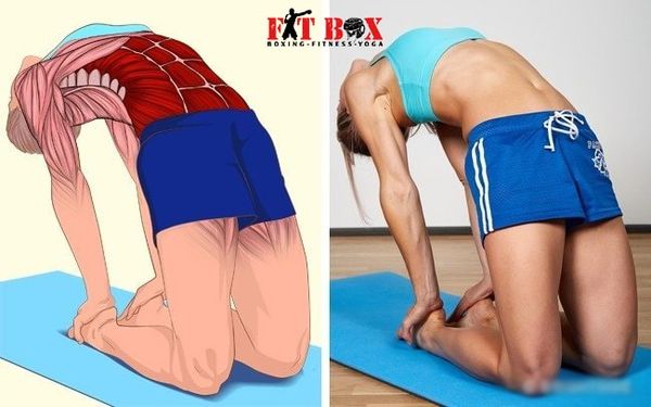 Động tác nằm vặn mình gym căng cơ lưng dưới và cơ liên sườn