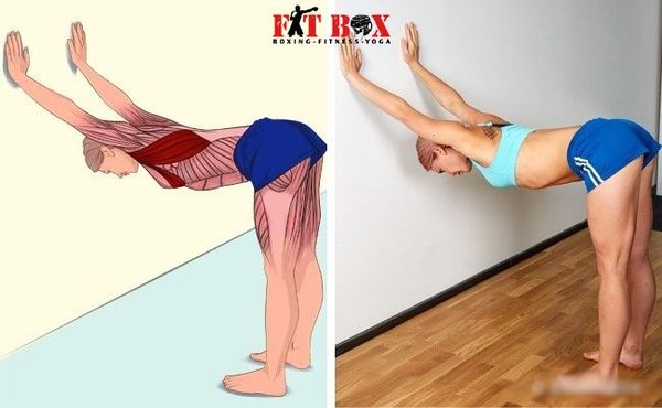Bài tập gym căng cơ lưng trên giúp giảm nhức mỏi bả vai