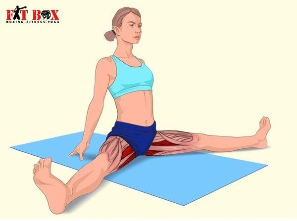 Tư thế quỳ gối lunge gym căng cơ xương chậu và đùi trước