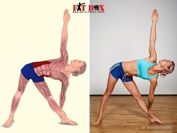 Động tác gym căng cơ ngực và bắp tay trước cải thiện tư thế đứng