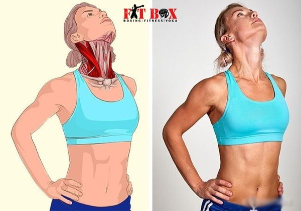 Bài tập gym giãn cơ cổ giảm đau mỏi vai gáy cho dân văn phòng