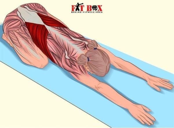 Nằm ngửa tập gym giãn cơ lưng dưới phục hồi cột sống thắt lưng