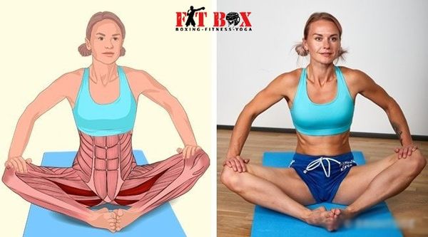 Tư thế cánh bướm gym giãn cơ xương chậu mở rộng khớp hông