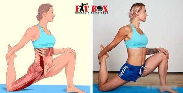 Hướng dẫn các động tác gym giãn cơ phục hồi cơ bắp sau khi tập luyện