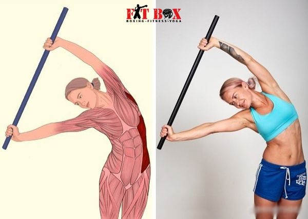 15 ĐỘNG TÁC ĐƠN GIẢN GIÚP GIÃN CƠ TRÊN CƠ THỂ – FitBox Gym