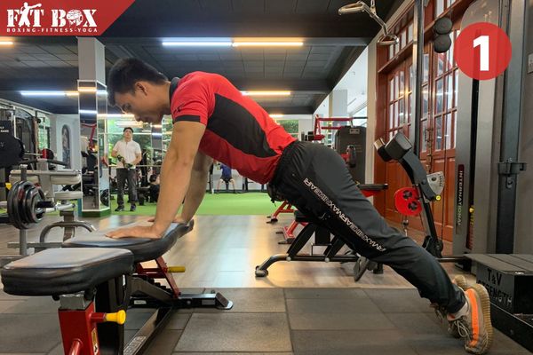 Bài tập hít đất push up cơ bản phát triển cơ ngực săn chắc