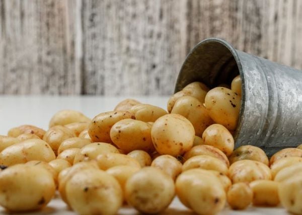 Khoai tây và các loại tinh bột phức hợp hỗ trợ bổ sung carbohydrate lành mạnh