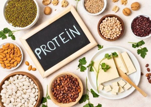 Thực phẩm giàu protein thực vật tốt cho sức khỏe và người tập gym ăn chay