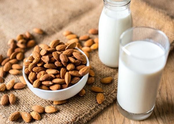 Sữa thực vật thay thế sữa bò giàu dinh dưỡng và protein lành mạnh