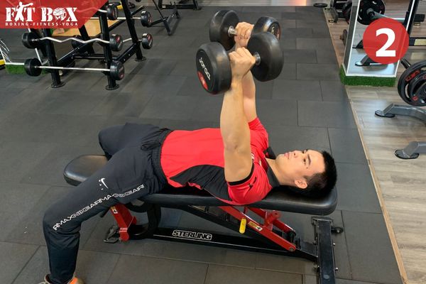 Đẩy tạ đòn trên ghế dốc xuống định hình viền ngực dưới hoàn hảo