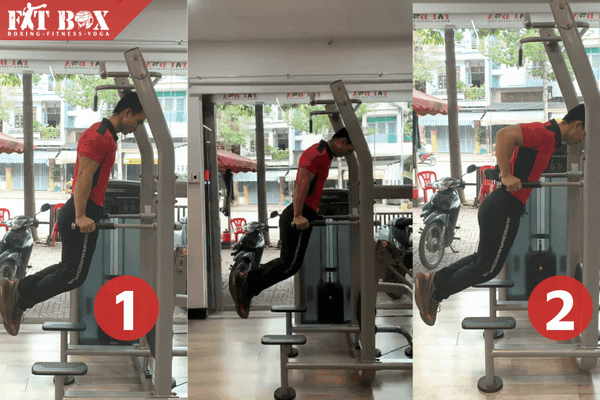 Bài tập xà kép dips tác động sâu vào cơ ngực dưới và tay sau