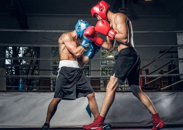 Bộ môn võ thuật Boxing là gì và những điều cần biết cho người mới bắt đầu
