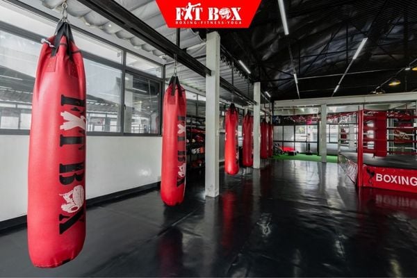 Trung tâm tập luyện boxing và muay thai chuyên nghiệp uy tín hàng đầu tại TPHCM