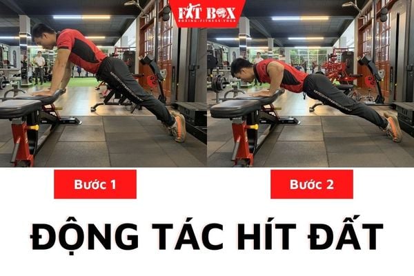 Bài tập hít đất đúng tư thế giúp săn chắc cơ ngực và bắp tay